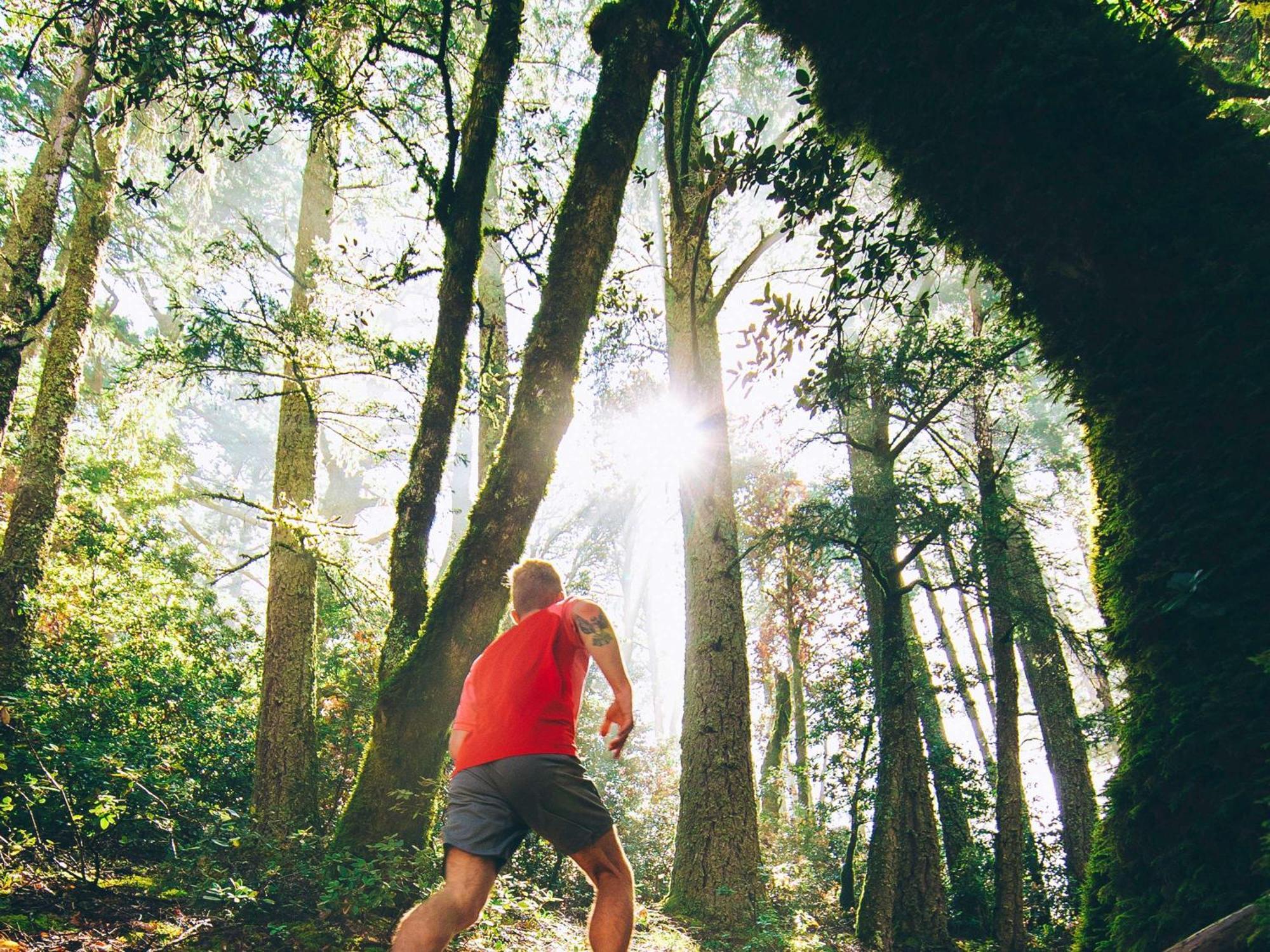 Fairmont San Francisco Hotel Exterior foto A trail runner in the forest